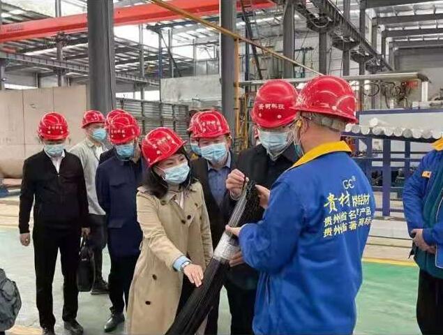 貴陽市常委、市工商聯(lián)、廣東總商會一行到我廠調(diào)研